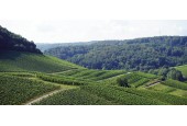 La Bisaccia di Demetra